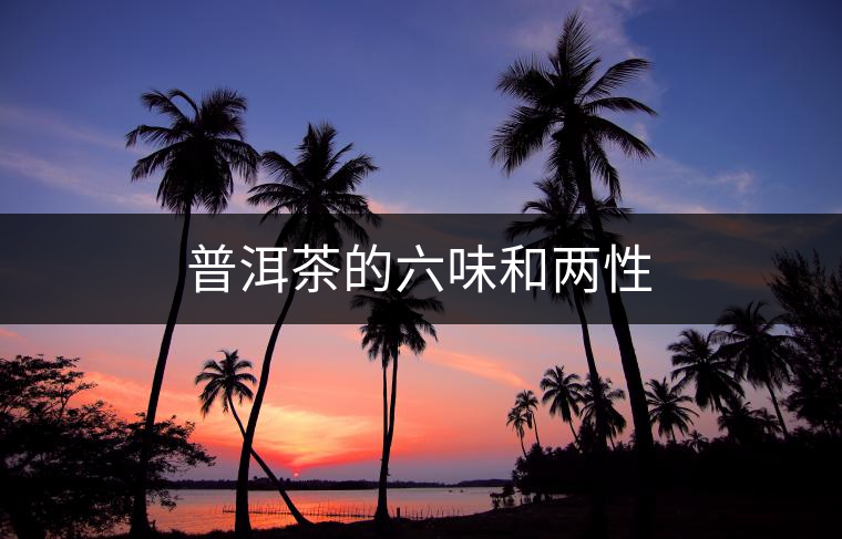 普洱茶的六味和兩性