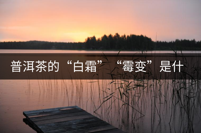 普洱茶的“白霜”“霉變”是什么鬼？