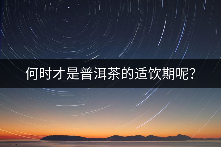 何時才是普洱茶的適飲期呢？