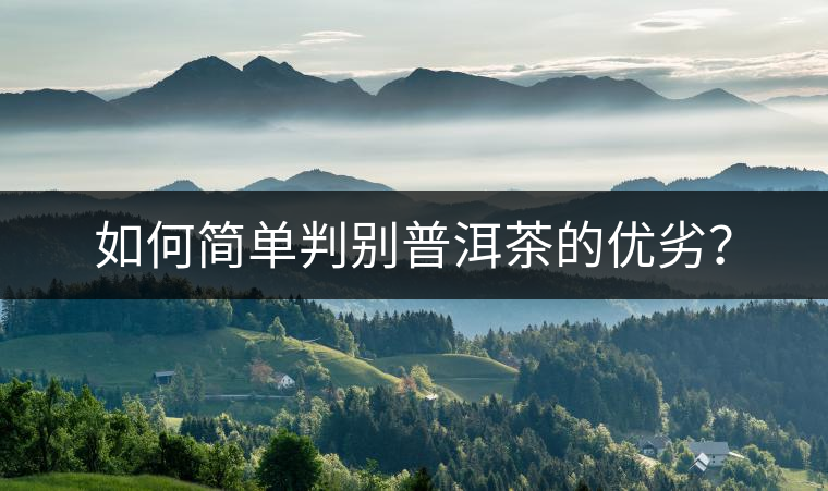 如何簡(jiǎn)單判別普洱茶的優(yōu)劣？