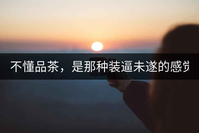 不懂品茶，是那種裝逼未遂的感覺(jué)？