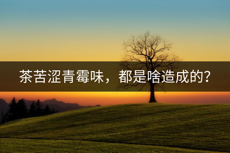 茶苦澀青霉味，都是啥造成的？