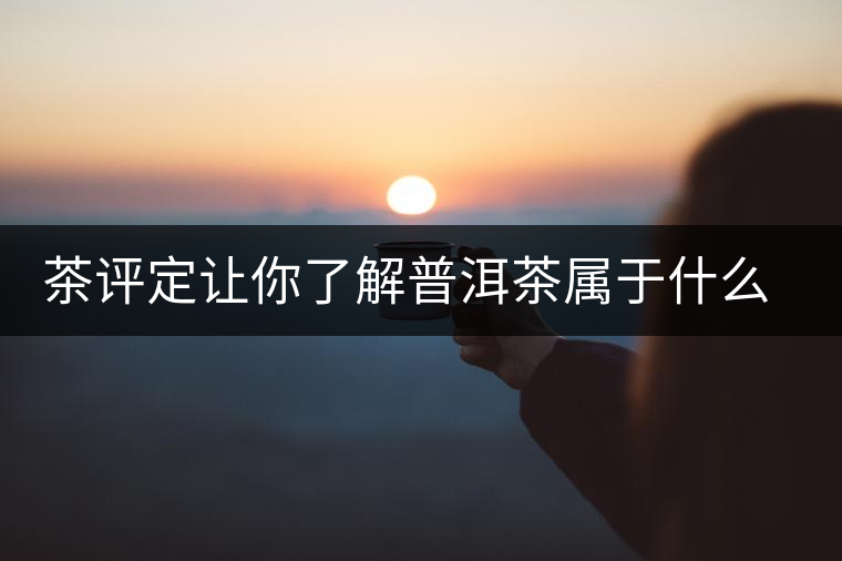 茶評(píng)定讓你了解普洱茶屬于什么茶系？