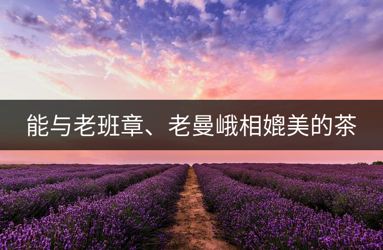 能與老班章、老曼峨相媲美的茶