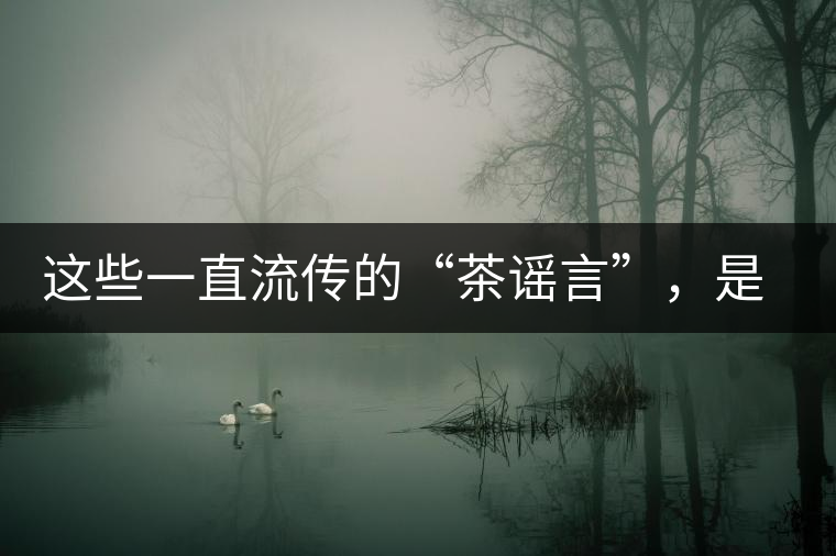這些一直流傳的“茶謠言”，是時候知道真相了