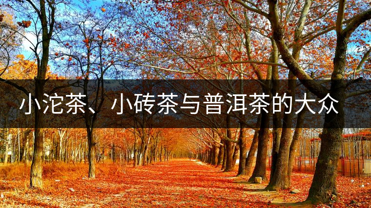 小沱茶、小磚茶與普洱茶的大眾化之路