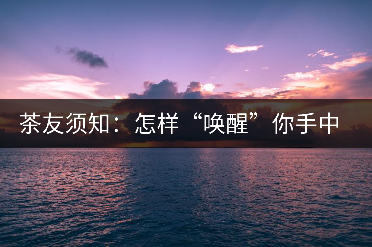 茶友須知：怎樣“喚醒”你手中的那一餅普洱茶？