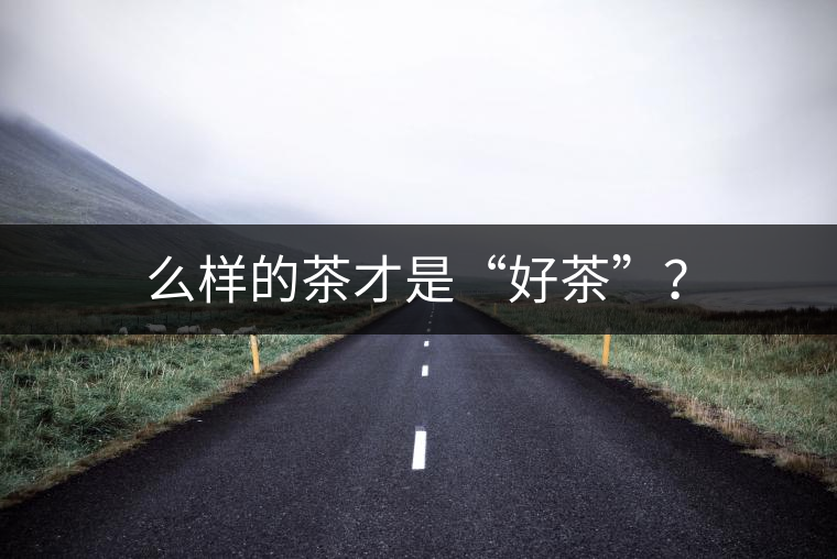 么樣的茶才是“好茶”？