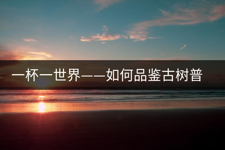 一杯一世界——如何品鑒古樹(shù)普洱