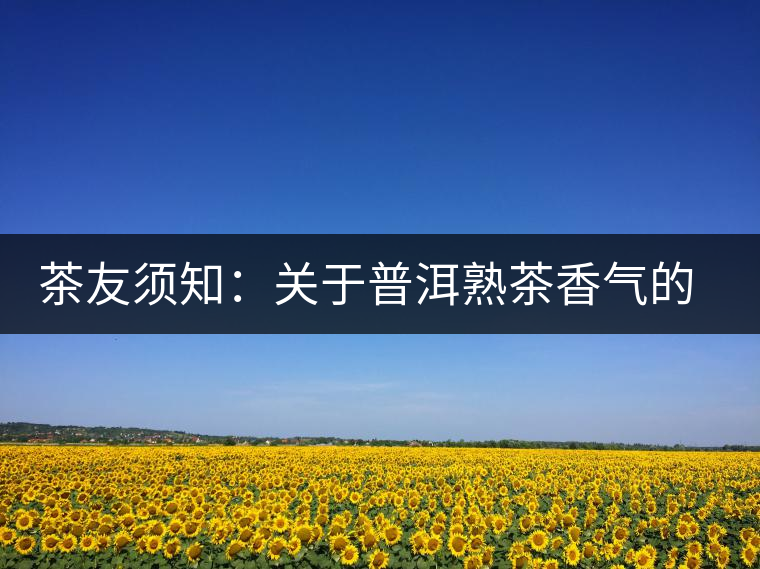 茶友須知：關(guān)于普洱熟茶香氣的“秘密”