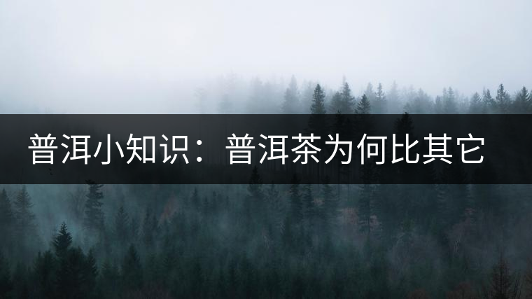 普洱小知識：普洱茶為何比其它茶葉耐泡？
