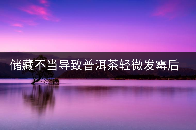 儲(chǔ)藏不當(dāng)導(dǎo)致普洱茶輕微發(fā)霉后如何處理？