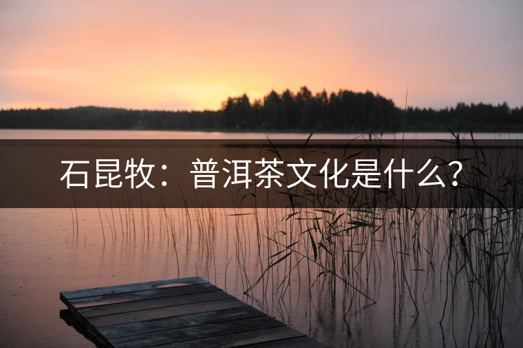 石昆牧：普洱茶文化是什么？