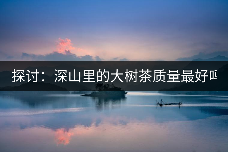 探討：深山里的大樹(shù)茶質(zhì)量最好嗎？