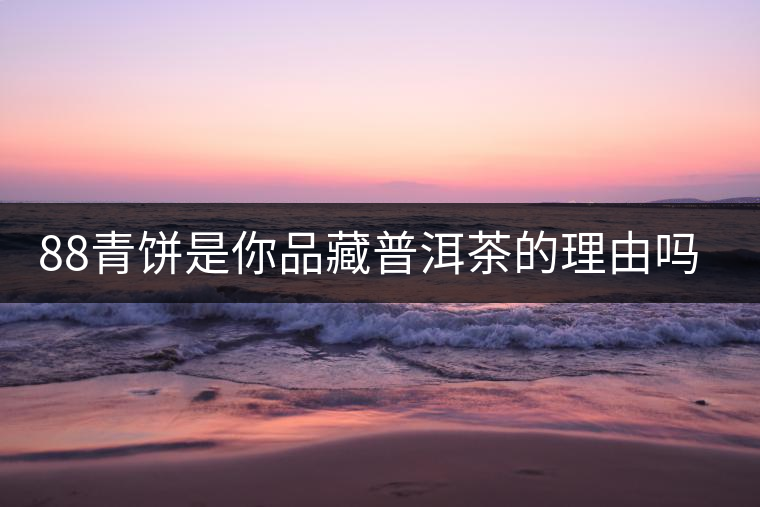 88青餅是你品藏普洱茶的理由嗎？