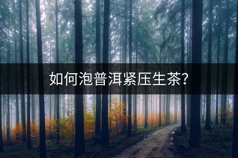 如何泡普洱緊壓生茶？