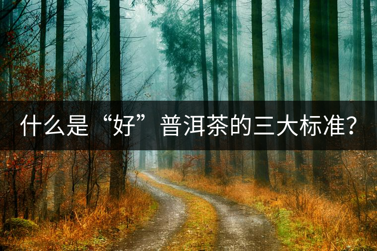 什么是“好”普洱茶的三大標準？