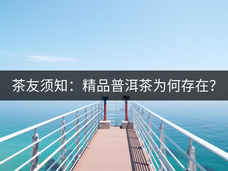 茶友須知：精品普洱茶為何存在？