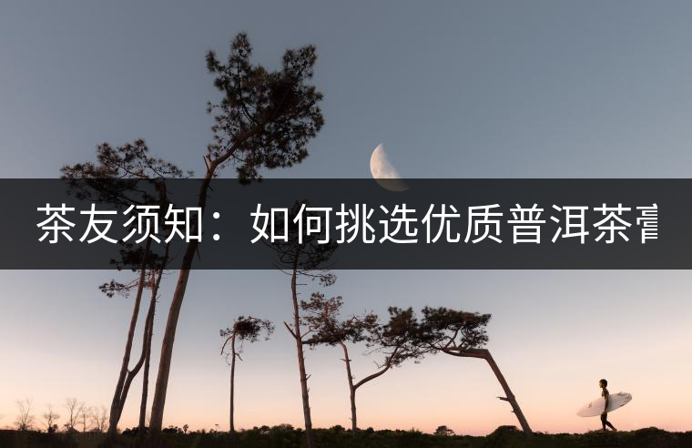 茶友須知：如何挑選優(yōu)質(zhì)普洱茶膏？