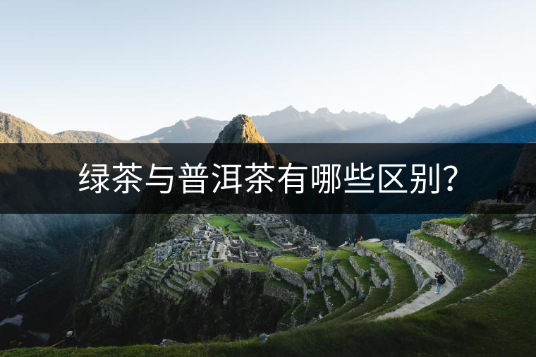 綠茶與普洱茶有哪些區(qū)別？