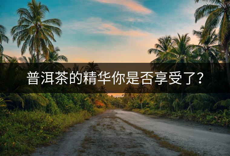 普洱茶的精華你是否享受了？
