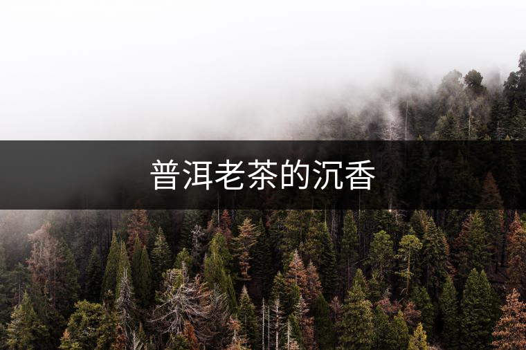 普洱老茶的沉香 普洱老茶的沉香