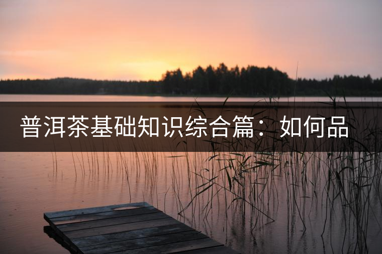 普洱茶基礎(chǔ)知識綜合篇：如何品鑒普洱茶