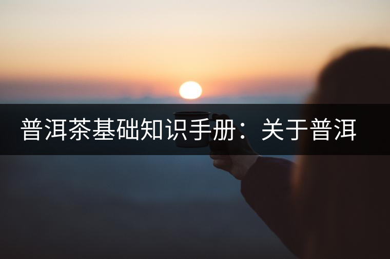 普洱茶基礎(chǔ)知識(shí)手冊：關(guān)于普洱茶的“六辨”