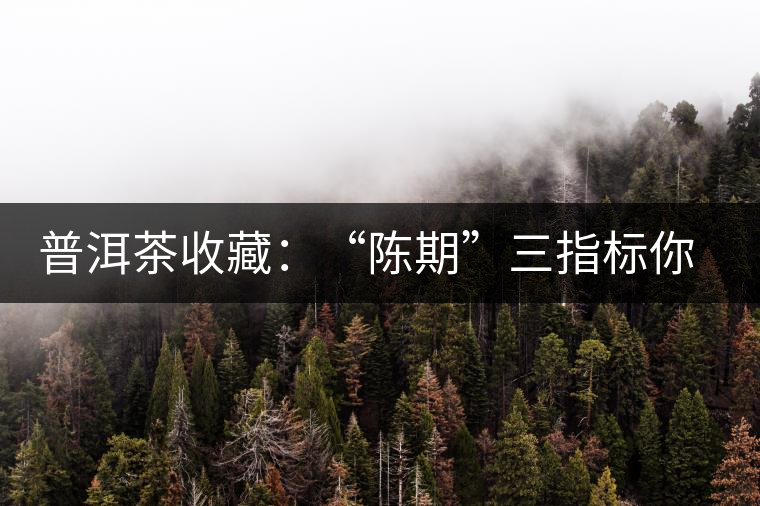 普洱茶收藏：“陳期”三指標(biāo)你知道嗎？