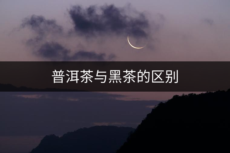 普洱茶與黑茶的區(qū)別