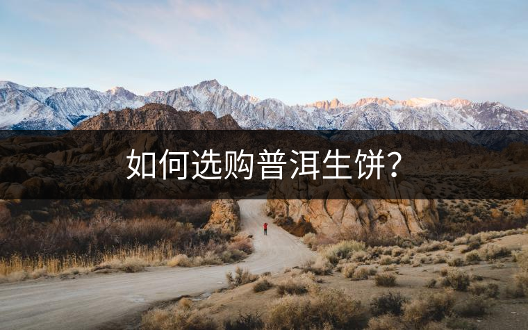 如何選購(gòu)普洱生餅？