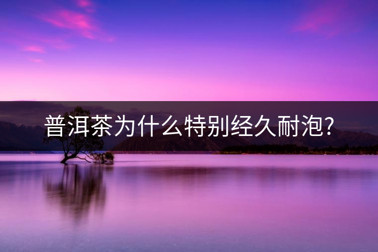 普洱茶為什么特別經(jīng)久耐泡?