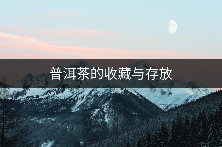 普洱茶的收藏與存放