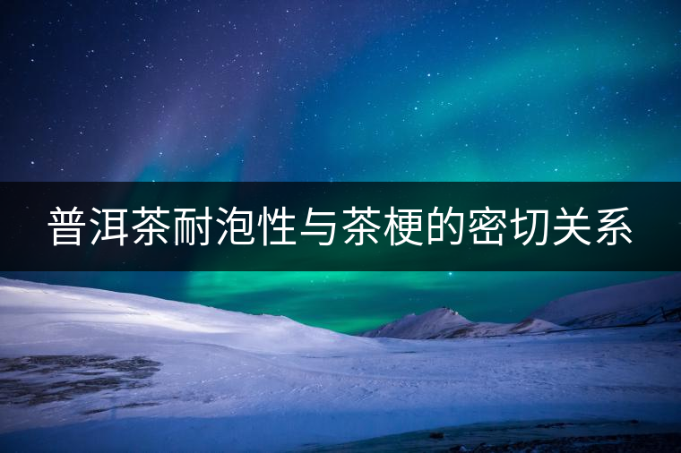 普洱茶耐泡性與茶梗的密切關(guān)系