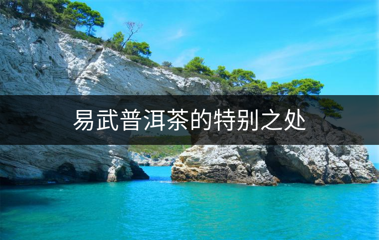 易武普洱茶的特別之處