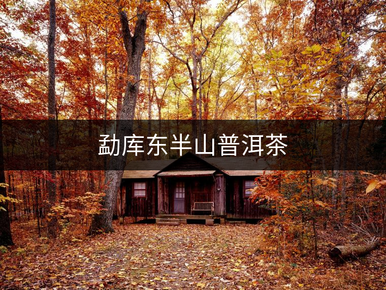 勐庫(kù)東半山普洱茶