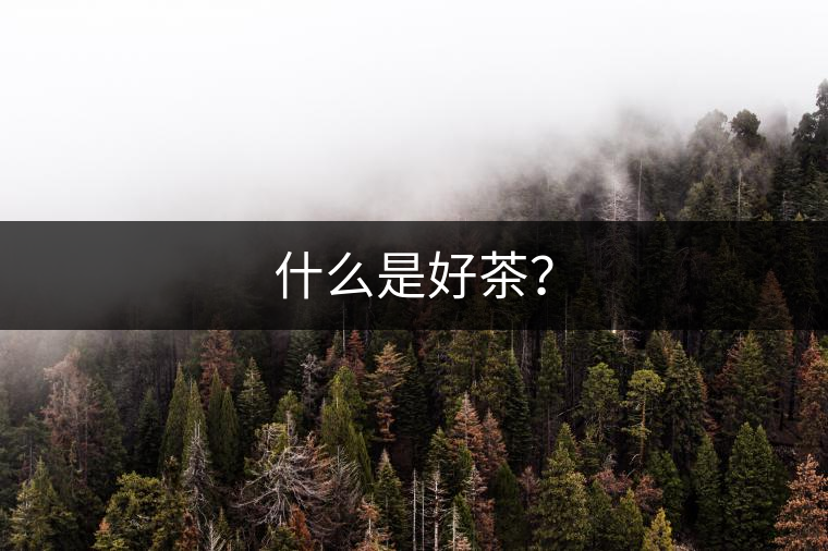什么是好茶？