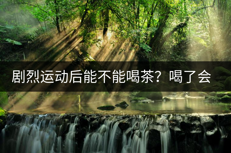 劇烈運(yùn)動(dòng)后能不能喝茶？喝了會(huì)有什么不適？
