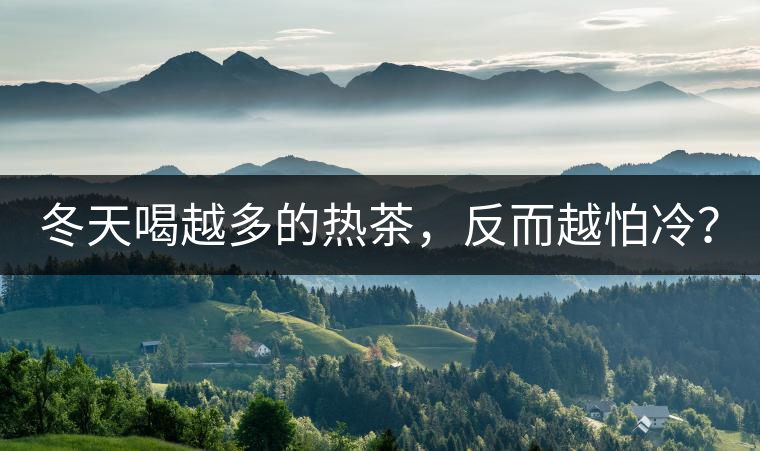 冬天喝越多的熱茶，反而越怕冷？