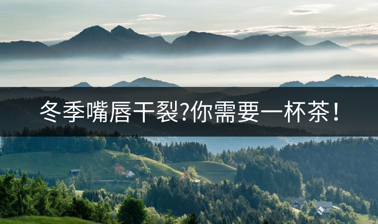 冬季嘴唇干裂?你需要一杯茶！