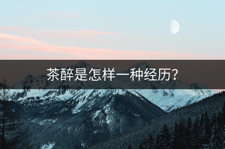 茶醉是怎樣一種經(jīng)歷？