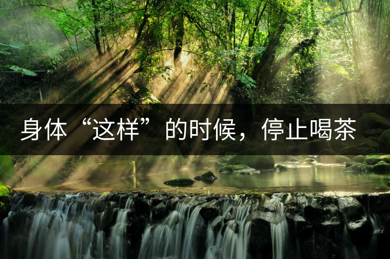 身體“這樣”的時候，停止喝茶！當心好茶變“毒藥”！