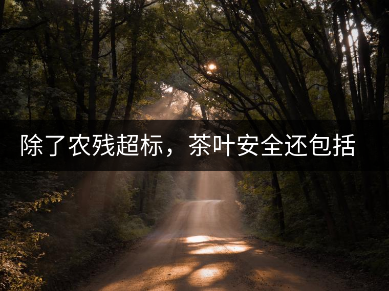 除了農(nóng)殘超標(biāo)，茶葉安全還包括哪些方面？