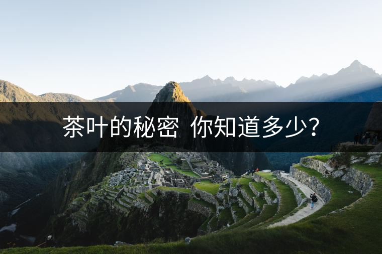 茶葉的秘密  你知道多少？