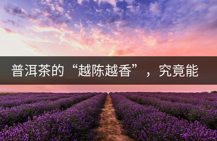 普洱茶的“越陳越香”，究竟能“陳”多久