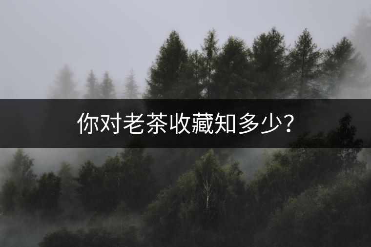 你對老茶收藏知多少？