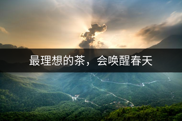 最理想的茶，會喚醒春天