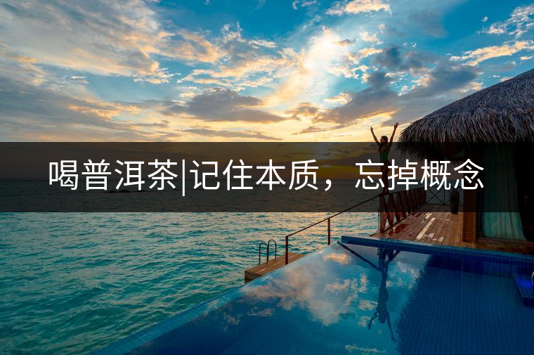 喝普洱茶|記住本質(zhì)，忘掉概念