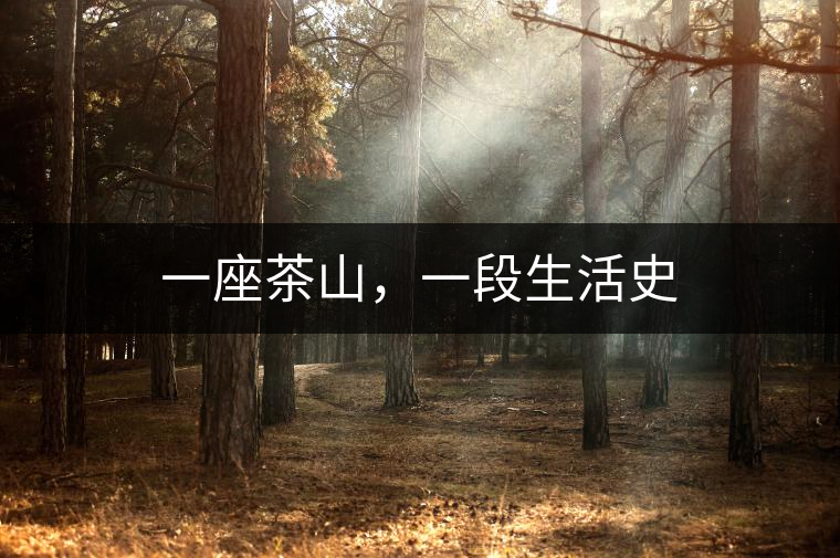 一座茶山，一段生活史