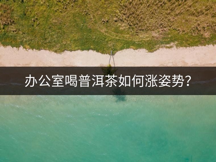 辦公室喝普洱茶如何漲姿勢？
